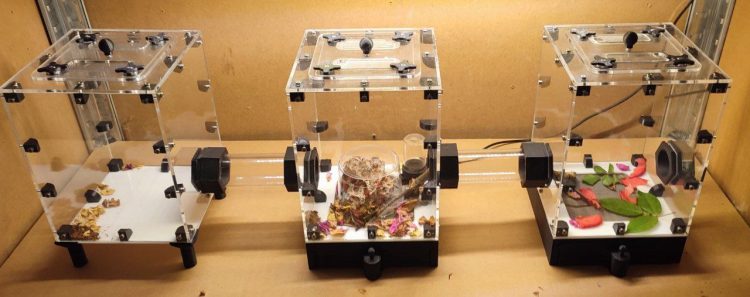 Setup Cortadoras Pequeño