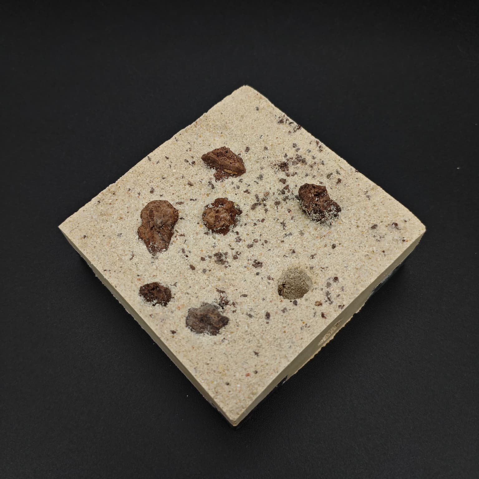 Forrajeo NATURALHAVEN Fundación - Imagen 3