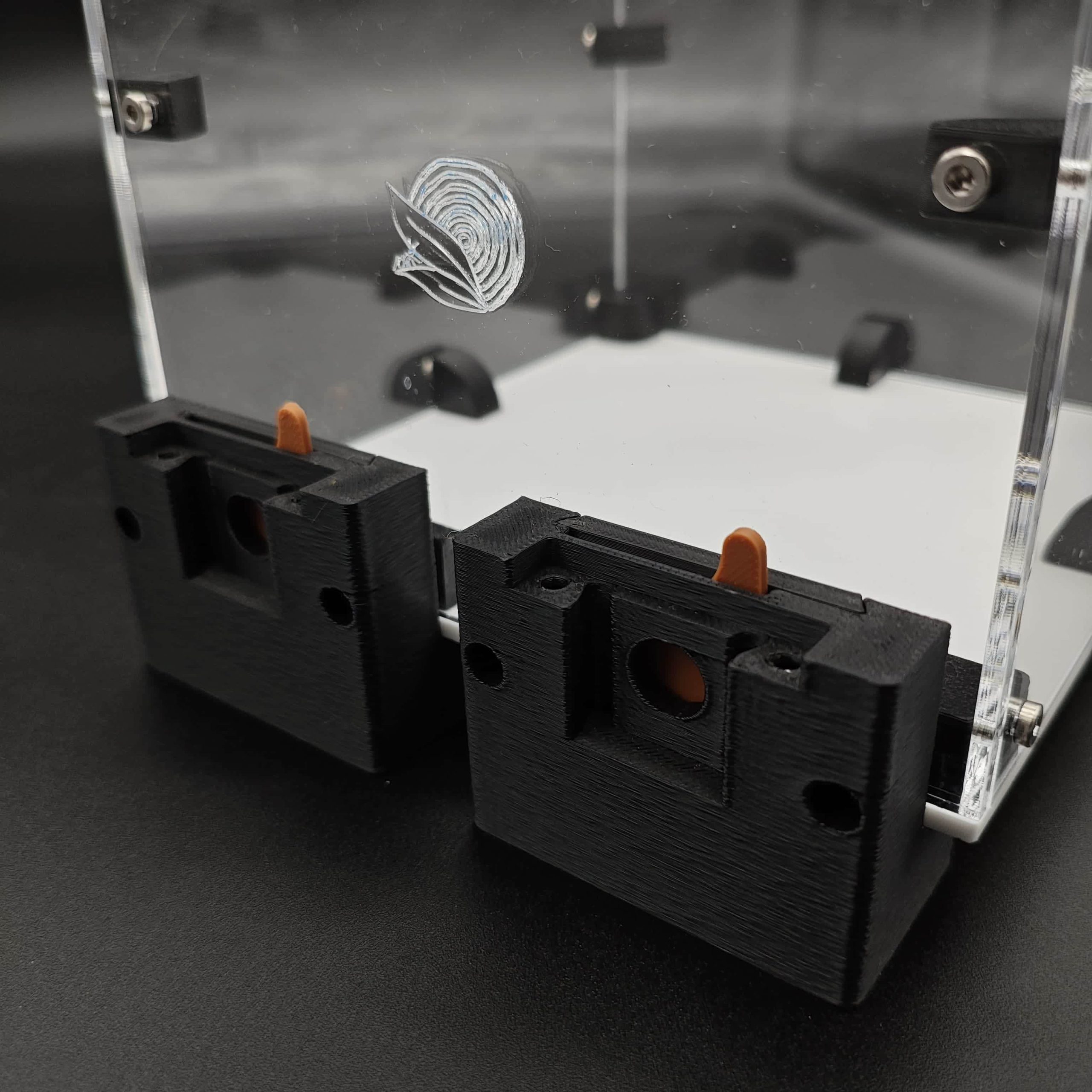 Forrajeo NATURALHAVEN Fundación Grande - Imagen 2