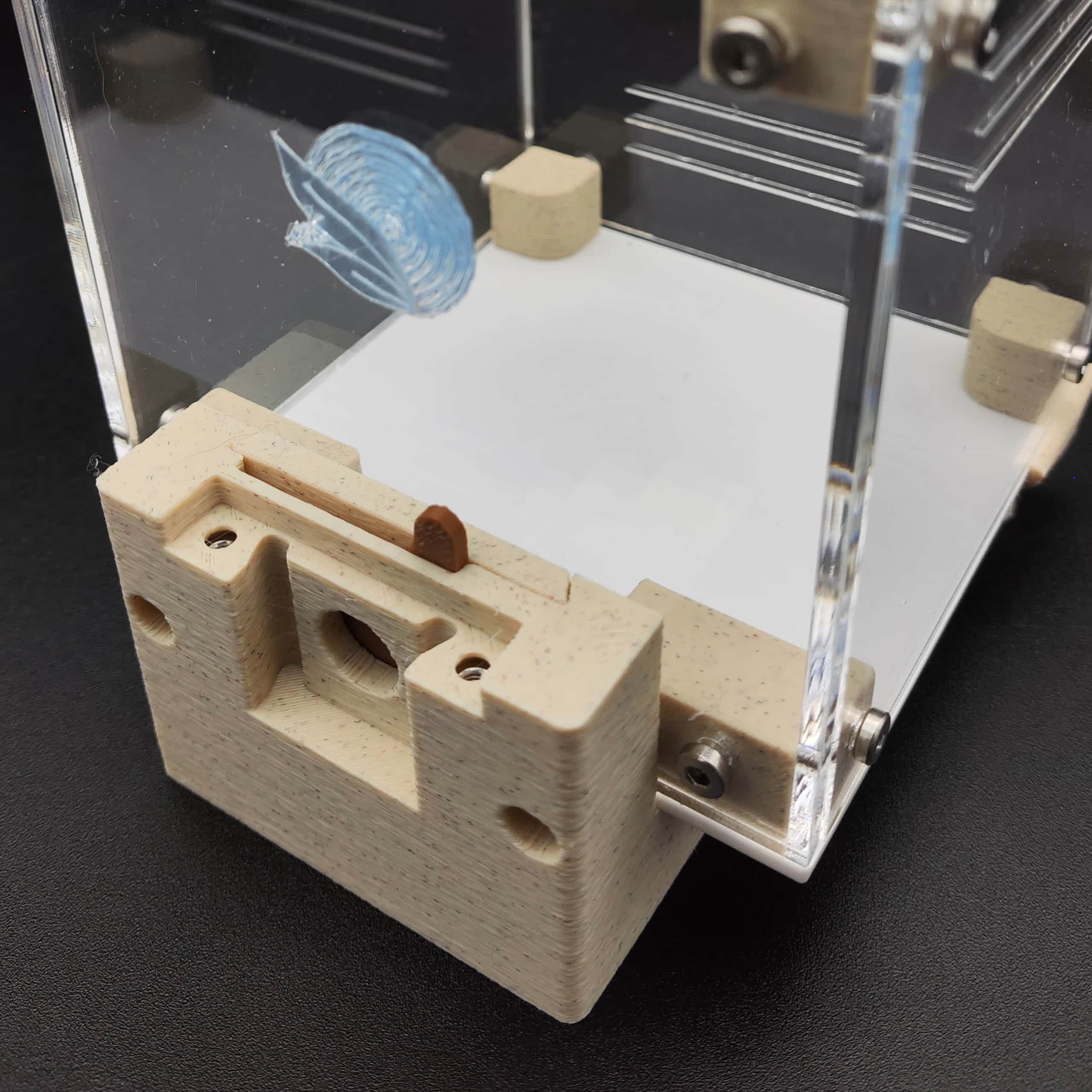 Forrajeo NATURALHAVEN Fundación - Imagen 2