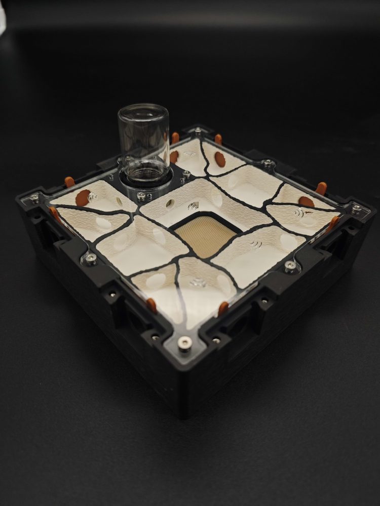 NEXUS 2:2 - Galerias Medianas